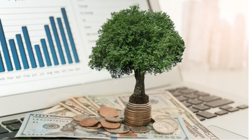 Jenis Investasi Jangka Pendek, Pilihan Tepat Datangkan&nbsp;Cuan